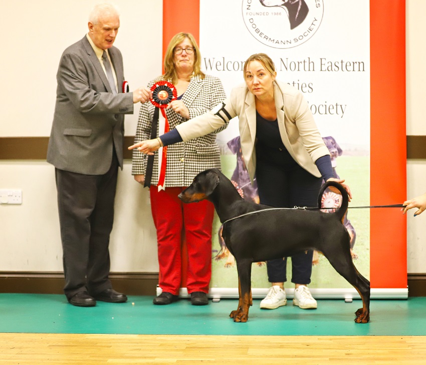 BPIS NECDS Champ Show Nov22