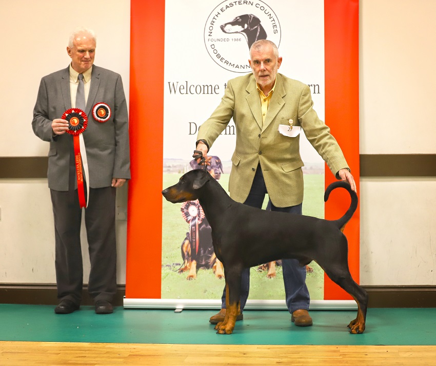 BVIS NECDS Champ Show Nov 22